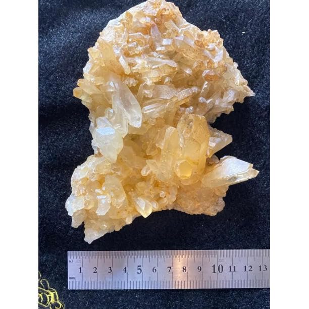 Amazon.co.jp: ゴールデンヒーラー クラスター tm0118 D : 産業・研究